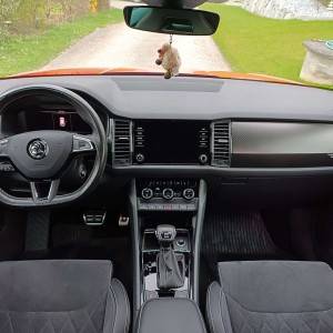 Skoda Kodiaq 2.0 TDI 4x4 Sportline DSG