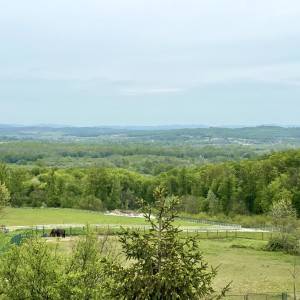 KUĆA DUGO SELO 162m 100 000 EUR