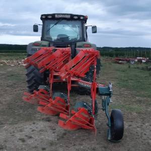 Vogel Noot C-plus M1020