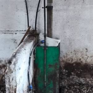 Hranilice za svinje Verba