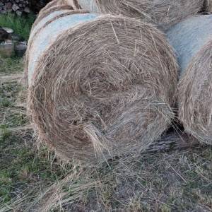 Livadsko sijeno