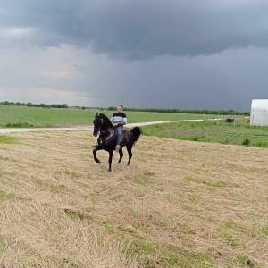 Pastuh