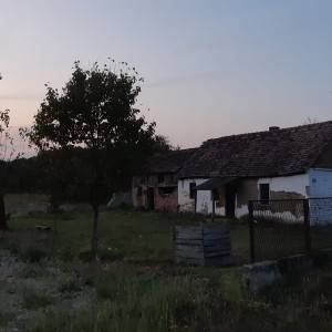 Prodajem staru nekretninu sa 1 jutro zemlje Drenovci Stanovi 34