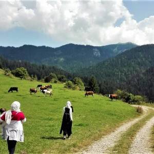 Apartmantska kuća BellaMonte - Vlašić