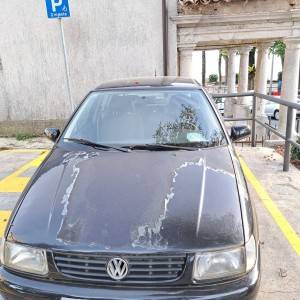 Polo
