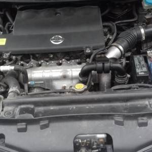 Nissan Primera P12