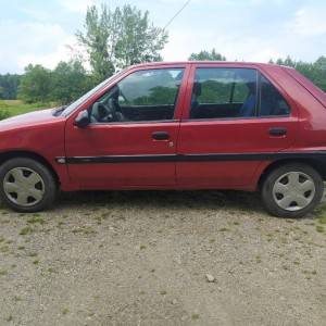 Citren Saxo 1.0 Furio