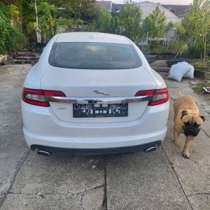Jaguar XF 2011 g, LUXUR oprema
