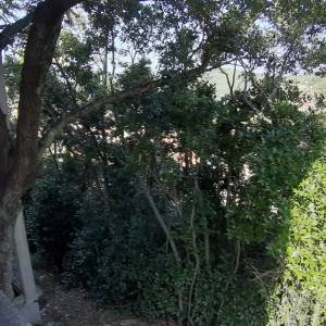 Kuća Blato(Korčula)
