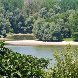Zemljište za vikendicu površine 1248 m2 - Aljmaš