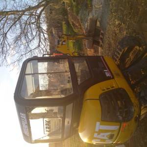 Cat 301.8