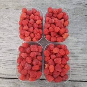Smrznute maline 1.klasa
