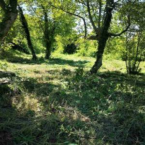 Zemljište za vikendicu površine 1248 m2 - Aljmaš