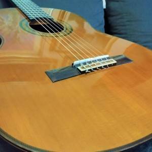 Koncertna gitara Yamaha G245S Vintage
