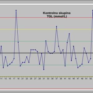 SPSS, AMOS, nVivo, Excel, statistika - Profesionalna Statistička Agencija - Vaš Pouzdan Partner