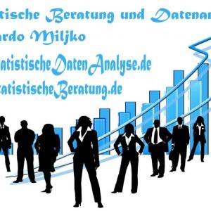 SPSS, AMOS, nVivo, Excel, statistika - Profesionalna Statistička Agencija - Vaš Pouzdan Partner