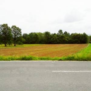 Križ, poljoprivredno zemljište 16.601 m2, moguća gradnja