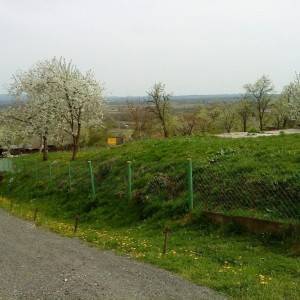 Križ, građevinsko zemljište 1.977 m2