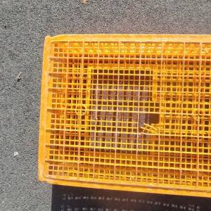 Talijanske gajbe kavezi za prijevoz peradi u dobrom stanju male LOT 49