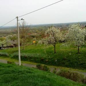 Križ, građevinsko zemljište 1.977 m2