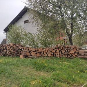 Drvo za ogrjev