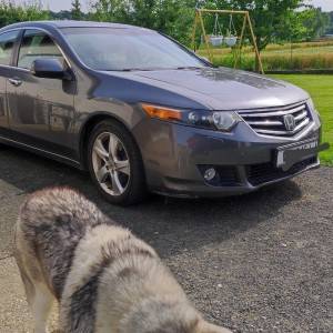 Prodajem Hondu Accord 2.2 icdti