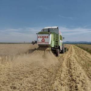 Prodajem Claas dominator 98 sl maxi