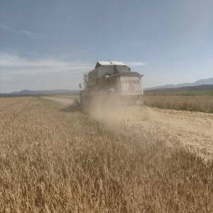 Prodajem Claas dominator 98 sl maxi