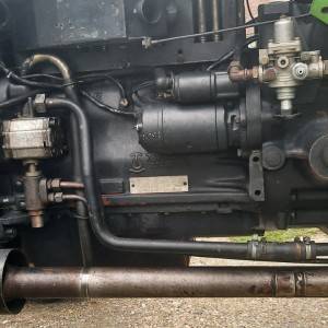 TORPEDO 75 Adriatic
