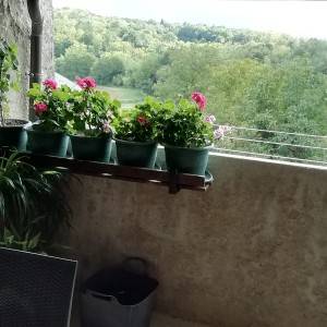 Karojba kuća u nizu
