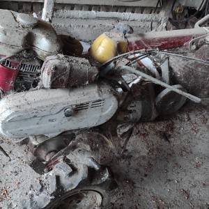 Freza za vrt honda mio standard 600