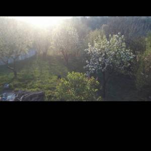 Kuca gornja Stubica