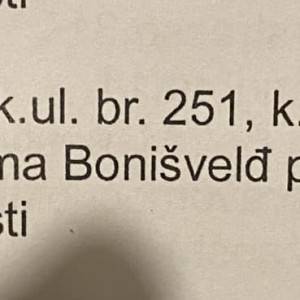 Šuma u Kamencu