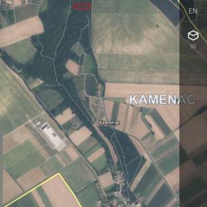 Šuma u Kamencu