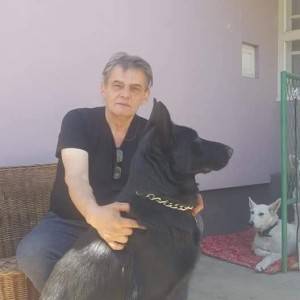 Crni Nemacki Ovcari