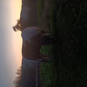 prodajem pony konja
