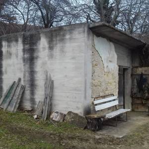 VINOGRAD PLEŠIVICA
