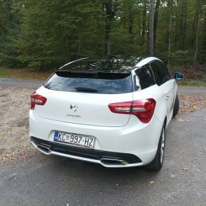 Ds 5