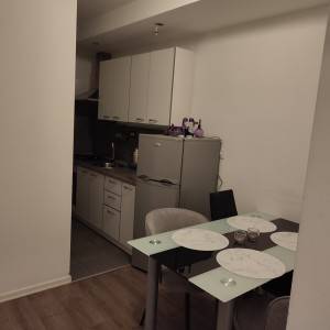 Stan: Zagreb Trešnjevka sjever (Savska cesta), 54 m2 (iznajmljivanje)