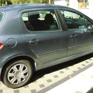 Peugeot 307 ( za dijelove )