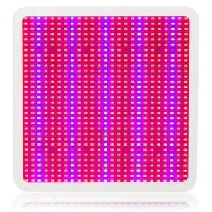 Led Reflektor Za Uzgoj Biljaka 800W