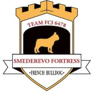Francuski Buldog PRELEPI štenci