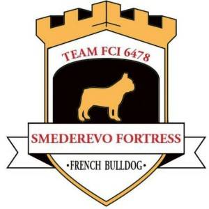 Francuski Buldog PRELEPI štenci