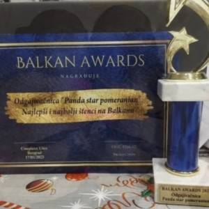 Pomeranac BOO štenci vrhunskog kvaliteta