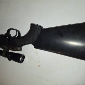 Steyr ssg 69 308win
