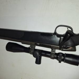 Steyr ssg 69 308win