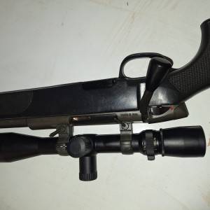 Steyr ssg 69 308win