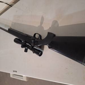 Steyr ssg 69 308win