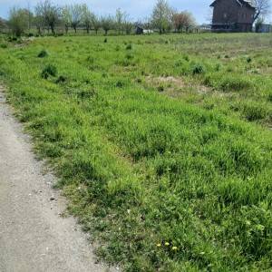 Poljoprivredno zemljište - Brezovica