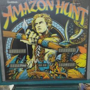 HITNO-2000e-Fliper Gotlieb Amazon Hunt, uređen i spreman za igru !